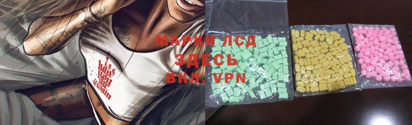 ПСИЛОЦИБИНОВЫЕ ГРИБЫ Белокуриха