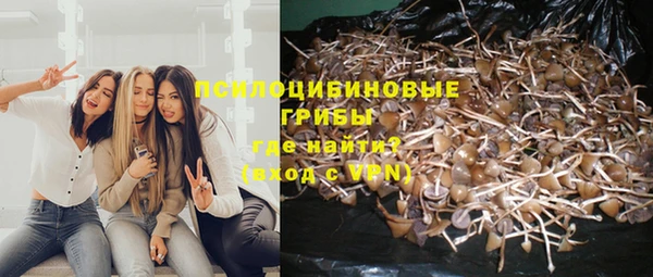 гашишное масло Покачи