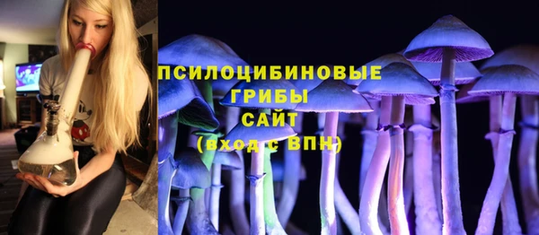 Альфа ПВП Беломорск